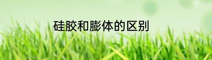 硅胶和膨体的区别