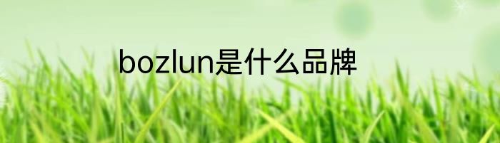 bozlun是什么品牌