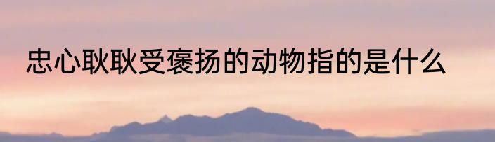 忠心耿耿受褒扬的动物指的是什么