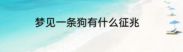 梦见一条狗有什么征兆
