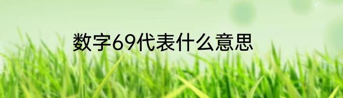 数字69代表什么意思