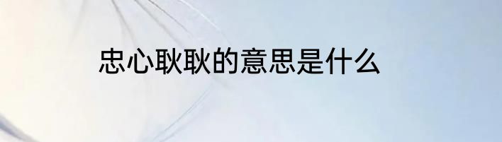 忠心耿耿的意思是什么