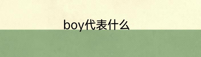 boy代表什么