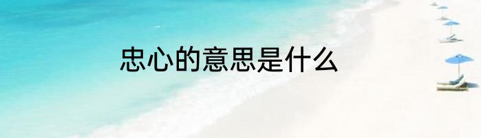 忠心的意思是什么