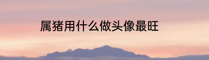 属猪用什么做头像最旺
