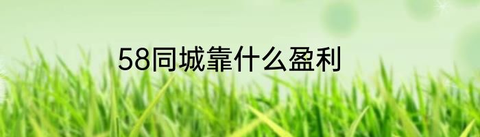 58同城靠什么盈利