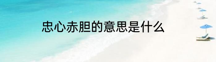 忠心赤胆的意思是什么