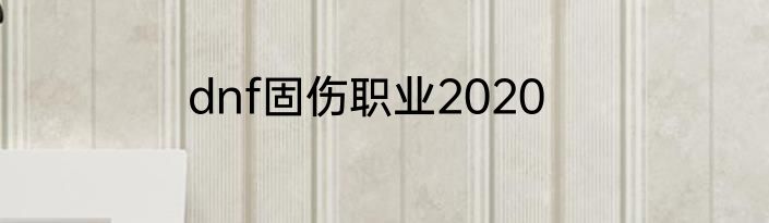 dnf固伤职业2020