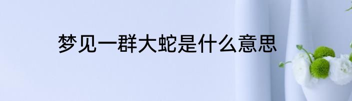 梦见一群大蛇是什么意思