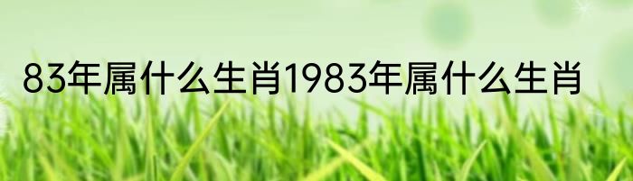 83年属什么生肖1983年属什么生肖