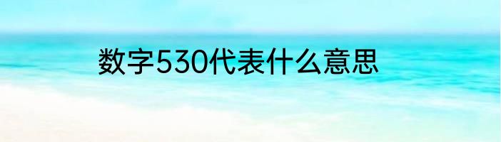 数字530代表什么意思