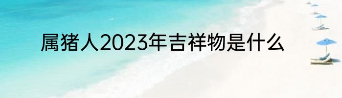 属猪人2023年吉祥物是什么