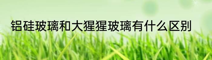 铝硅玻璃和大猩猩玻璃有什么区别