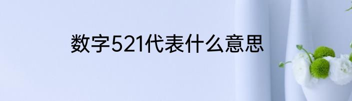 数字521代表什么意思