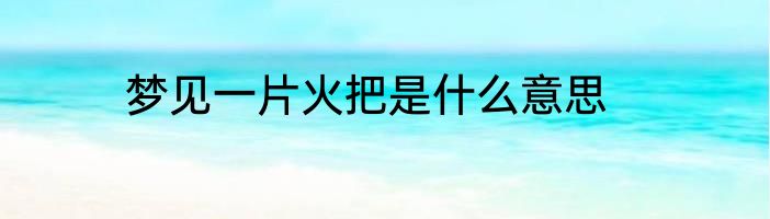 梦见一片火把是什么意思