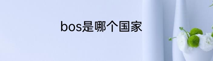 bos是哪个国家