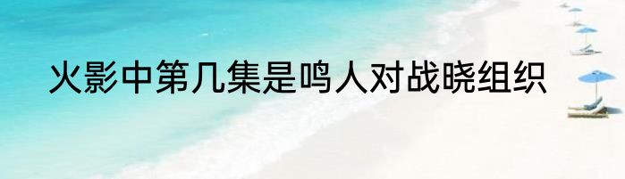 火影中第几集是鸣人对战晓组织