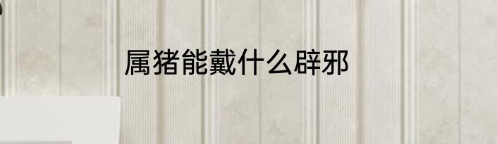 属猪能戴什么辟邪