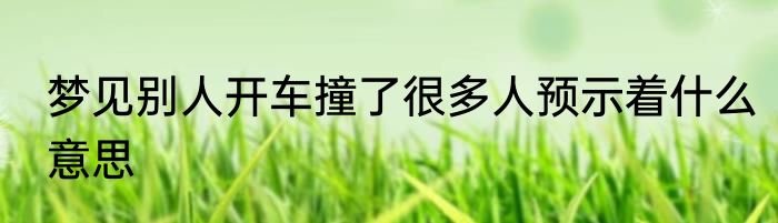 梦见别人开车撞了很多人预示着什么意思