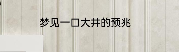 梦见一口大井的预兆