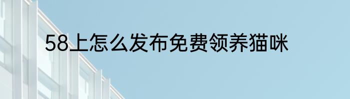 58上怎么发布免费领养猫咪