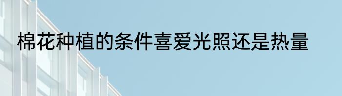 棉花种植的条件喜爱光照还是热量