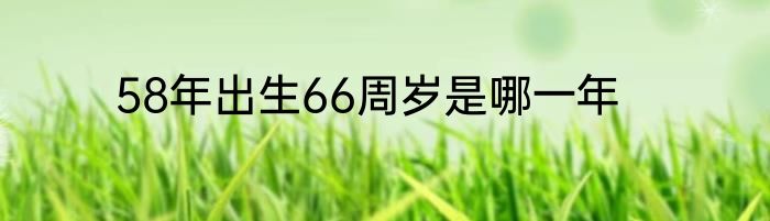 58年出生66周岁是哪一年