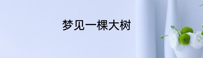 梦见一棵大树