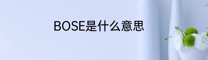 BOSE是什么意思