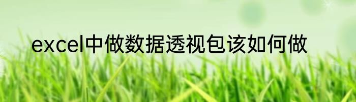 excel中做数据透视包该如何做