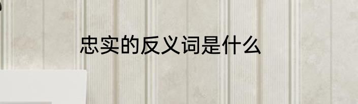 忠实的反义词是什么