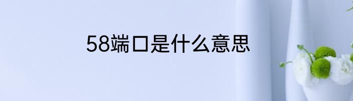 58端口是什么意思