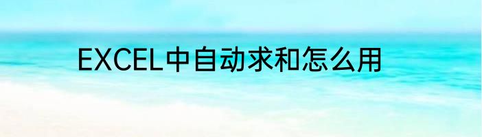 EXCEL中自动求和怎么用