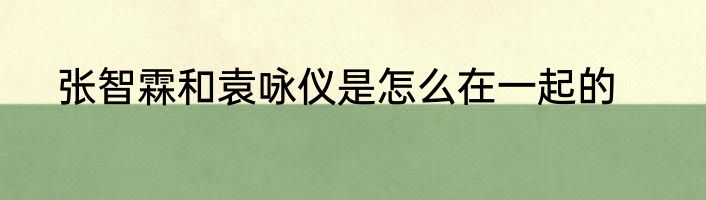 张智霖和袁咏仪是怎么在一起的