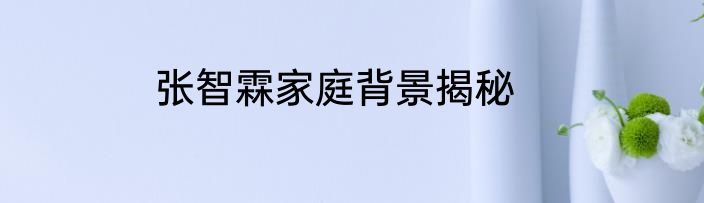 张智霖家庭背景揭秘