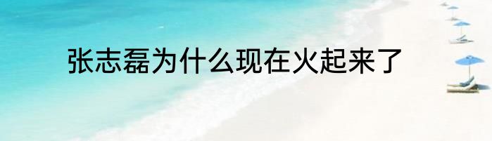张治中的介绍