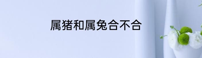 属猪和属兔合不合