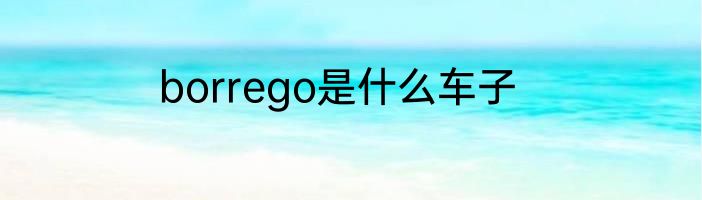 borrego是什么车子