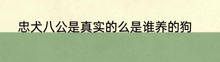 忠犬八公是真实的么是谁养的狗