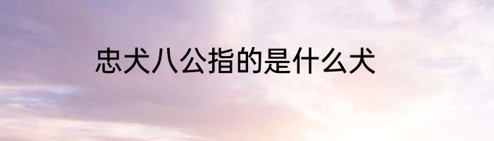 忠犬八公指的是什么犬
