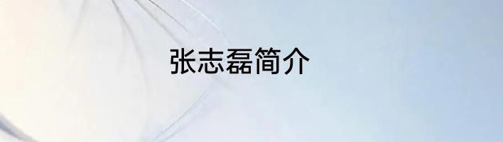 张志磊简介