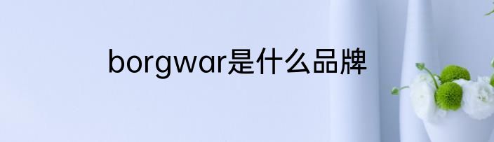 borgwar是什么品牌