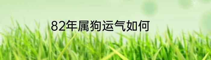 82年属狗运气如何