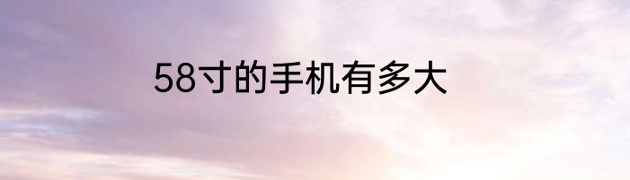 58寸的手机有多大