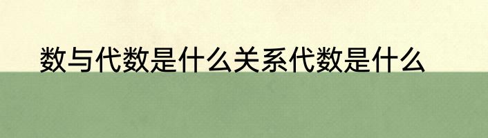 数与代数是什么关系代数是什么