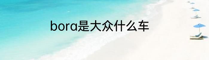 bora是大众什么车