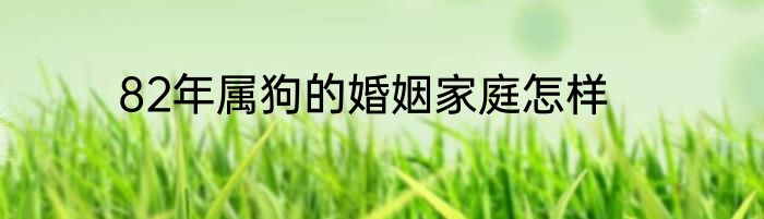82年属狗的婚姻家庭怎样