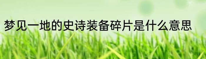 梦见一地的史诗装备碎片是什么意思