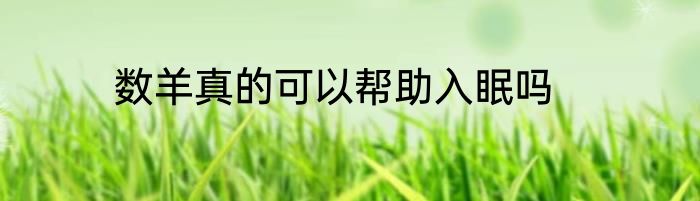 数羊真的可以帮助入眠吗