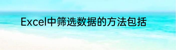 Excel中筛选数据的方法包括